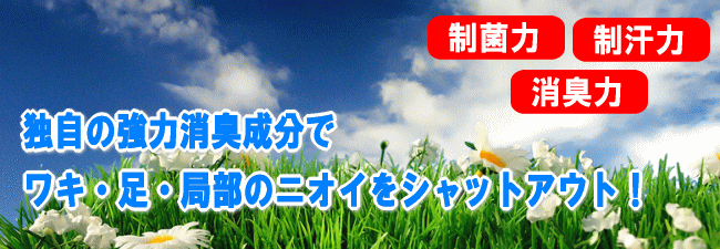 �p�[�t�F�N�g�f�I�h�����g�Z�b�g�����ʔ�